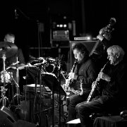 L'oeil de l'éléphant